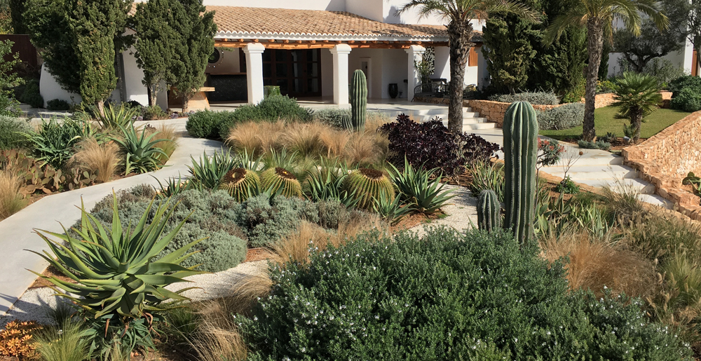 Jardín de cactus y suculentas frente a una casa blanca ibicenca